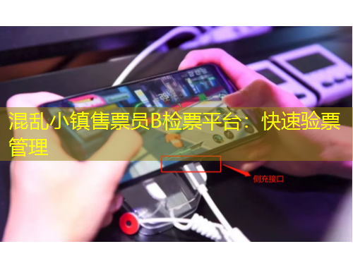 混乱小镇售票员B检票平台：快速验票管理