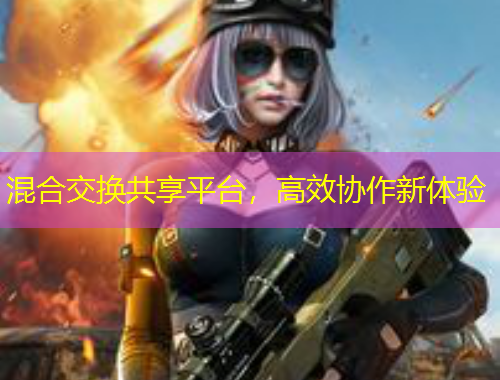 混合交换共享平台，高效协作新体验