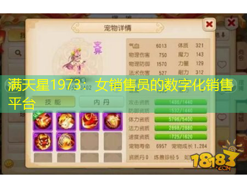满天星1973：女销售员的数字化销售平台
