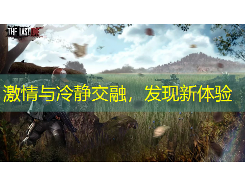 激情与冷静交融，发现新体验