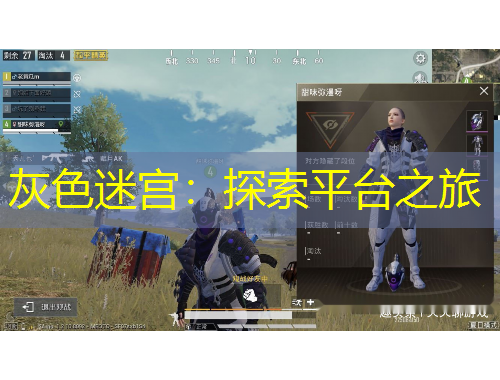 灰色迷宫：探索平台之旅