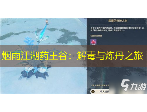 烟雨江湖药王谷：解毒与炼丹之旅