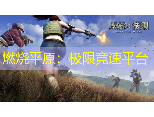 燃烧平原：极限竞速平台