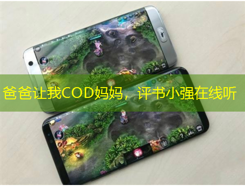 爸爸让我COD妈妈，评书小强在线听