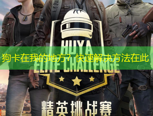 狗卡在我的地方？快速解决方法在此