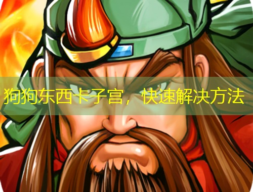 狗狗东西卡子宫，快速解决方法