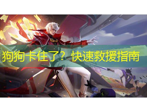 狗狗卡住了?快速救援指南
