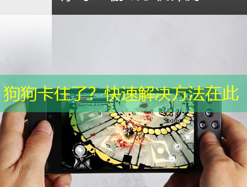狗狗卡住了？快速解决方法在此
