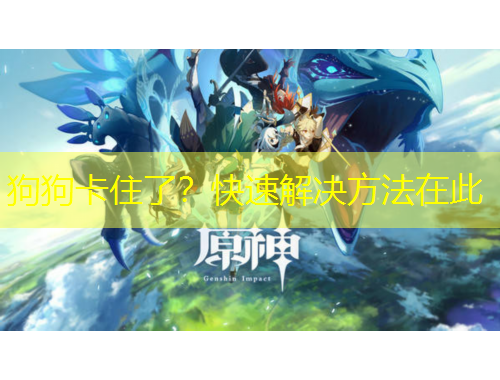 狗狗卡住了？快速解决方法在此