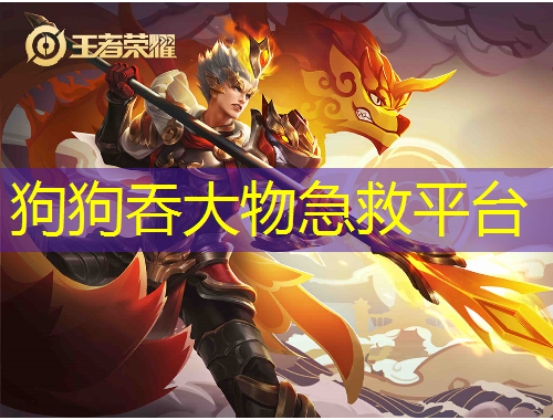 狗狗吞大物急救平台
