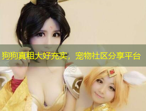 狗狗真粗大好充实，宠物社区分享平台