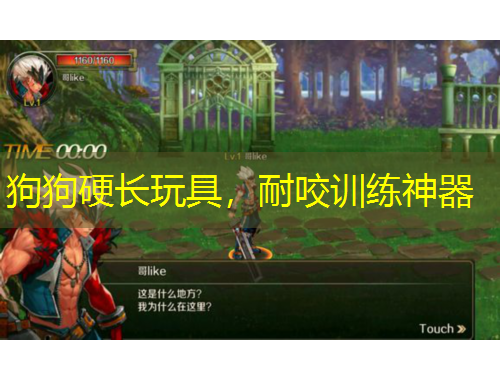 狗狗硬长玩具，耐咬训练神器