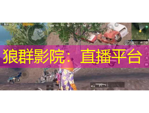 狼群影院：直播平台