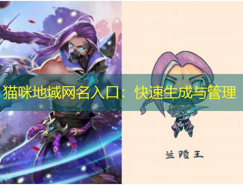 猫咪地域网名入口：快速生成与管理