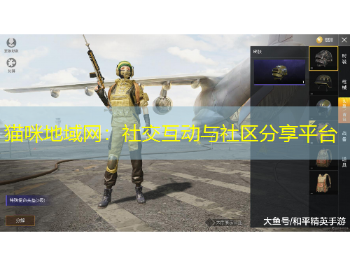 猫咪地域网：社交互动与社区分享平台