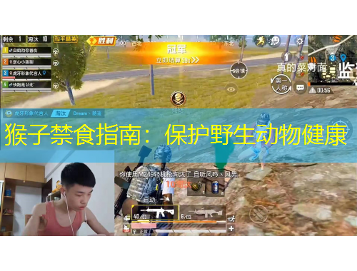 猴子禁食指南:保护野生动物健康
