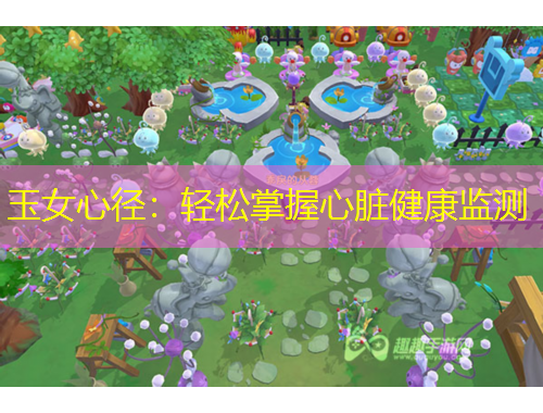 玉女心径：轻松掌握心脏健康监测