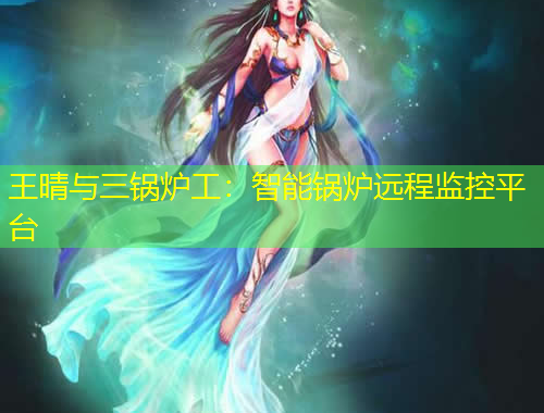 王晴与三锅炉工：智能锅炉远程监控平台