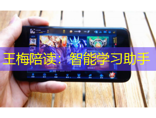 王梅陪读：智能学习助手