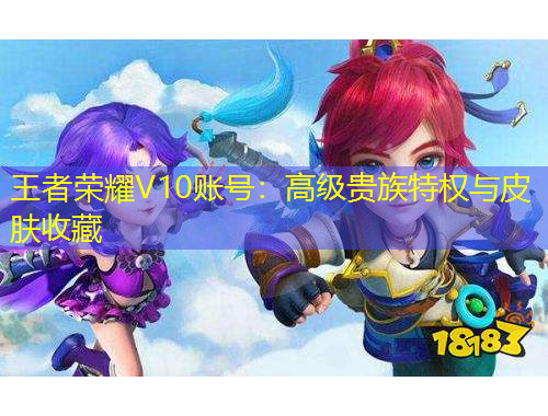 王者荣耀V10账号：高级贵族特权与皮肤收藏