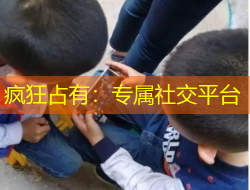 疯狂占有：专属社交平台
