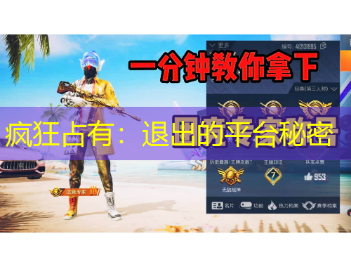 疯狂占有：退出的平台秘密