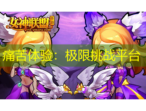 痛苦体验：极限挑战平台