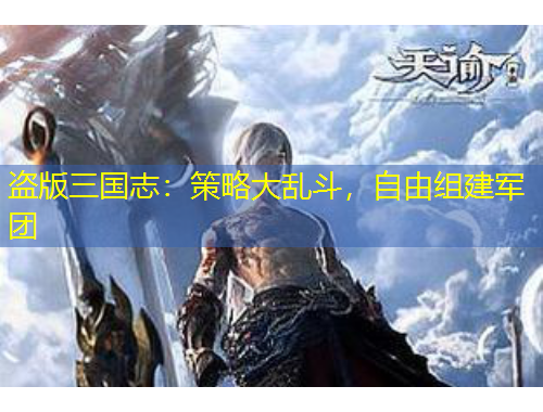 盗版三国志：策略大乱斗，自由组建军团
