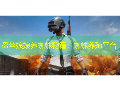 盘丝娘娘养蜘蛛秘籍:蜘蛛养殖平台