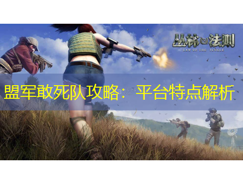 盟军敢死队攻略：平台特点解析