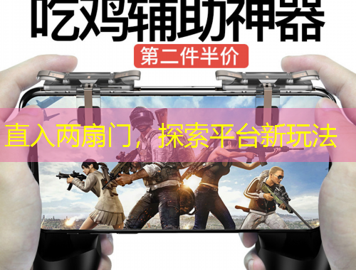 直入两扇门，探索平台新玩法