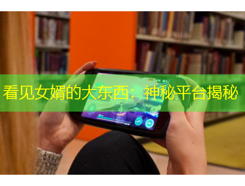 看见女婿的大东西：神秘平台揭秘