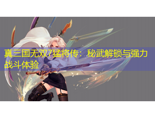 真三国无双7猛将传:秘武解锁与强力战斗体验
