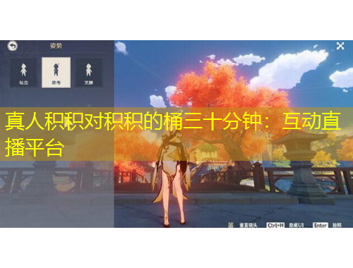 真人积积对积积的桶三十分钟：互动直播平台