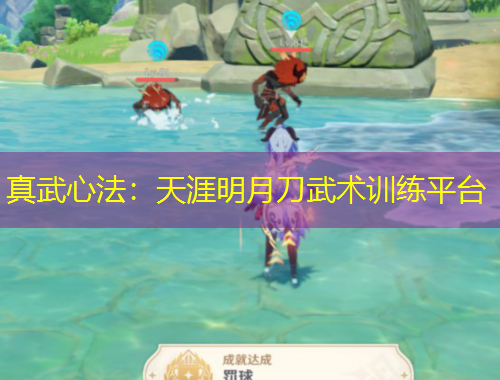 真武心法：天涯明月刀武术训练平台