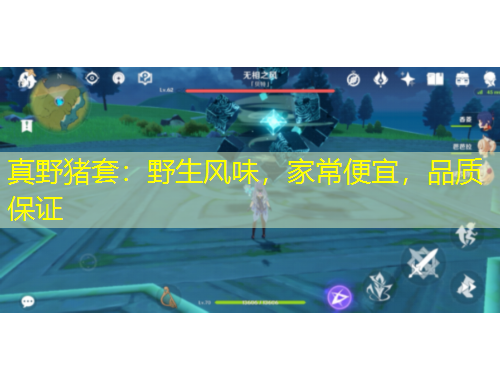 真野猪套：野生风味，家常便宜，品质保证
