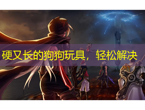 硬又长的狗狗玩具，轻松解决