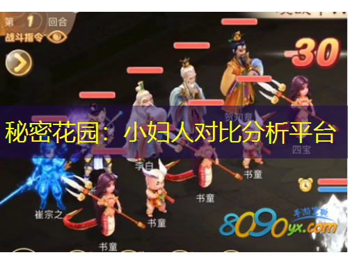 秘密花园：小妇人对比分析平台