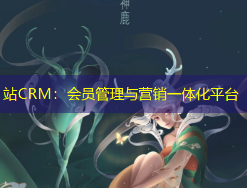 站CRM：会员管理与营销一体化平台