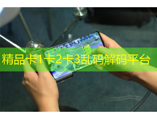 精品卡1卡2卡3乱码解码平台