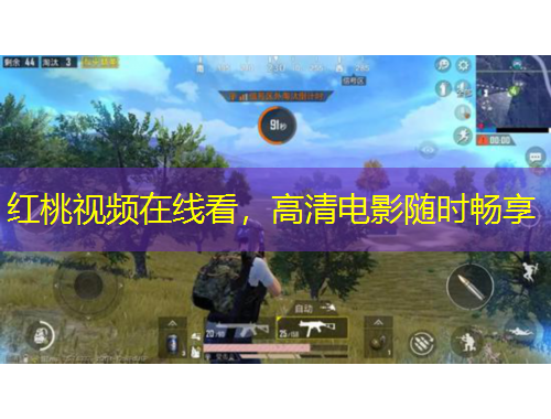 红桃视频在线看，高清电影随时畅享
