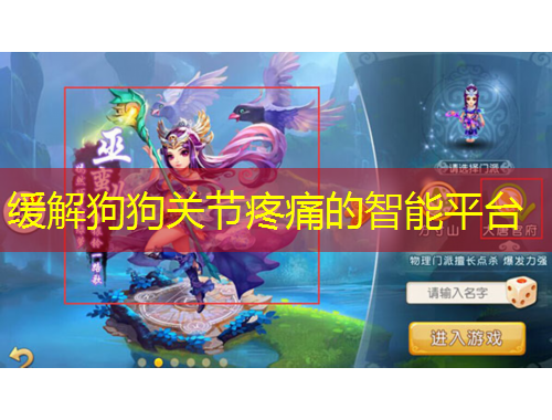 缓解狗狗关节疼痛的智能平台