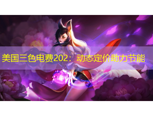 美国三色电费202：动态定价助力节能