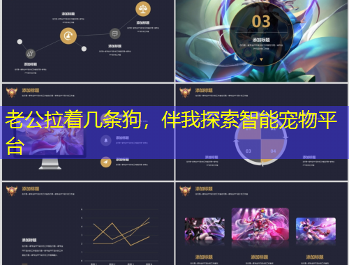 老公拉着几条狗，伴我探索智能宠物平台