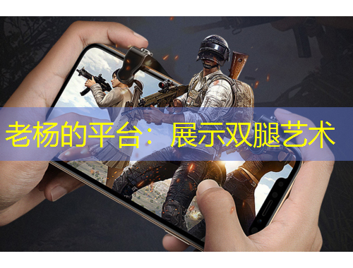 老杨的平台：展示双腿艺术