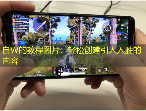 自W的教程图片：轻松创建引人入胜的内容
