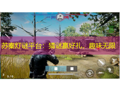 苏秦灯谜平台：猜谜赢好礼，趣味无限