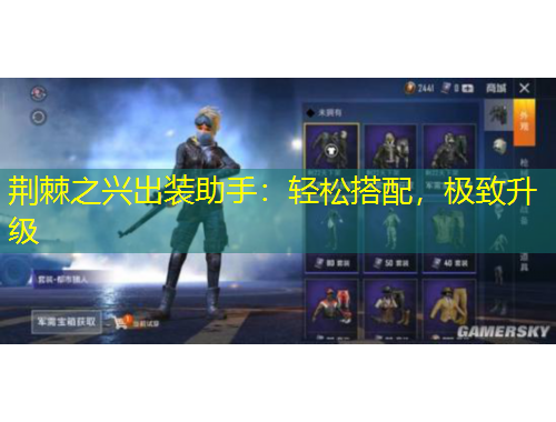 荆棘之兴出装助手：轻松搭配，极致升级