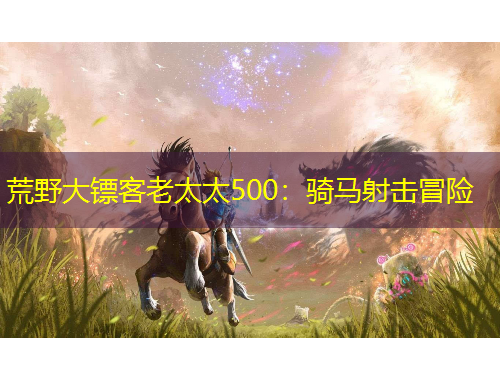 荒野大镖客老太太500：骑马射击冒险