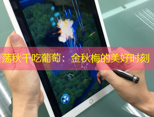 荡秋千吃葡萄：金秋梅的美好时刻